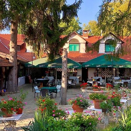Talizman Etterem Panzio Hotel Miskolc Ngoại thất bức ảnh